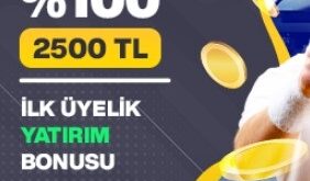 betist com 590 güncel